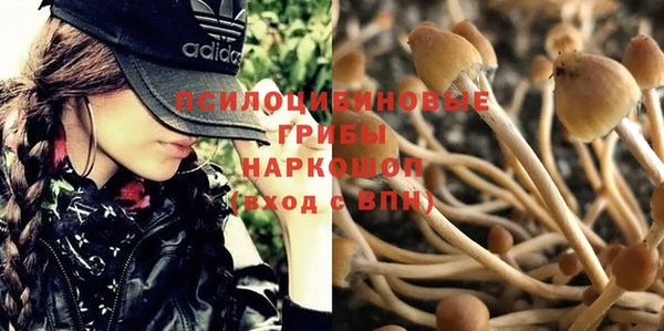 герыч Алзамай